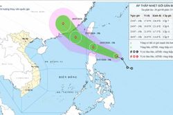 Biển Đông có khả năng đón bão vào chiều tối 25-7
