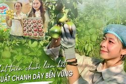 E-magazine Phát triển chuỗi liên kết sản xuất chanh dây bền vững
