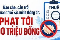 Infographic Bao che, cản trở cơ quan thuế x&aacute;c minh th&ocirc;ng tin: Phạt tới 100 triệu đồng