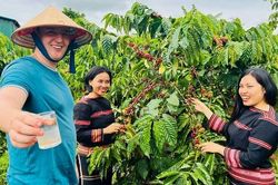 Khảo sát phát triển du lịch từ văn hóa cà phê Gia Lai