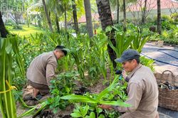 The Anam Foundation cam kết hằng năm sẽ đầu tư 1 tỷ đồng để trồng cây xanh