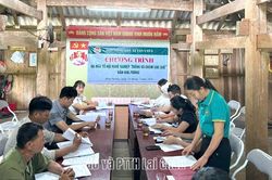Hội Nông dân xã Tân Uyên ra mắt Tổ hội nghề nghiệp 'Trồng và chăm sóc quế'