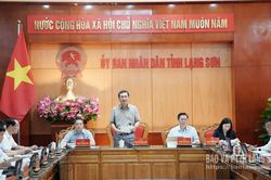 UBND tỉnh họp phiên thường kỳ tháng 7/2026: Thông qua nhiều nội dung quan trọng