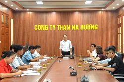 Khảo s&aacute;t, định hướng x&acirc;y dựng kh&ocirc;ng gian trưng b&agrave;y mẫu vật địa chất ngo&agrave;i trời