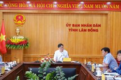 Lâm Đồng khai thác, sử dụng hiệu quả nhà, đất công dôi dư