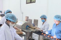 Khoa học công nghệ tạo giá trị cho 'Trứng gà thảo dược Đà Lạt'