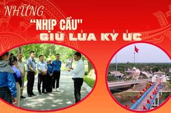 Những 'nhịp cầu' giữ lửa ký ức