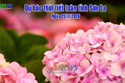 Dự báo thời tiết toàn tỉnh Sơn La ngày 25/7/2026