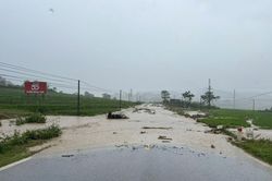 Khẩn trương xử l&yacute; c&aacute;c vị tr&iacute; sạt lở, kh&ocirc;ng để &aacute;ch tắc giao th&ocirc;ng tr&ecirc;n Quốc lộ 32 v&agrave; 279