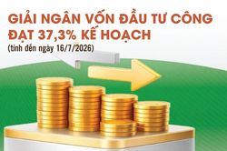 Infographics: Giải ngân vốn đầu tư công cả nước đạt 378.009,9 tỷ đồng