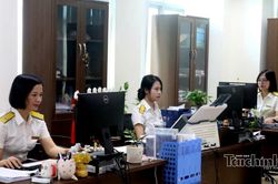 Thuế tỉnh Phú Thọ: Quyết tâm hoàn thành chiến dịch 'Làm sạch mã số thuế'