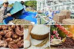 Tuân thủ SPS để giữ vững thị trường EU và Anh