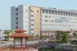 Điều dưỡng trưởng Bệnh viện Đa khoa Hải Dương bị hành hung: Bộ Y tế yêu cầu làm rõ, xử lý nghiêm