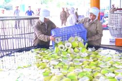 N&acirc;ng tầm 'Măng Việt Tiến - Bảo Y&ecirc;n' nhờ nh&atilde;n hiệu tập thể