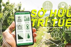 Sở hữu tr&iacute; tuệ - 'Vốn mới' của HTX, doanh nghiệp trong đổi mới s&aacute;ng tạo