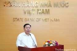 Tiếp tục đổi mới phương thức l&atilde;nh đạo của tổ chức đảng trong c&aacute;c cơ quan thanh tra