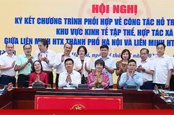 H&agrave; Nội - Bắc Ninh th&uacute;c đẩy ph&aacute;t triển kinh tế tập thể