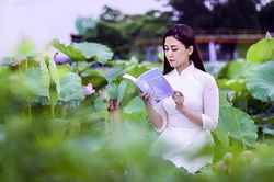 Tâm an vạn sự an