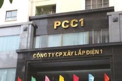 Tập đoàn PC1 (PC1): Ái nữ 27 tuổi làm Chủ tịch, dòng vốn tổ chức ồ ạt đổ bộ