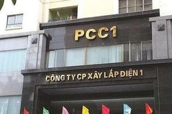 Tập đoàn PC1 (PC1) trình danh sách 4 ứng viên HĐQT, cơ cấu cổ đông biến động mạnh