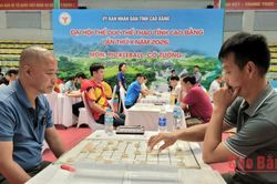 Khai mạc Giải Pickleball và Cờ tướng tại Đại hội Thể dục thể thao tỉnh lần thứ X