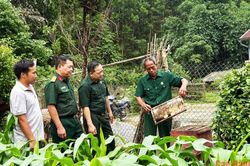 Hội viên cựu chiến binh làm kinh tế giỏi