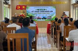 Tập huấn kỹ thuật chăn nuôi lợn theo hướng an toàn sinh học cho 30 học viên