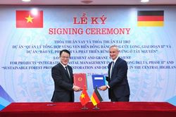Việt Nam - Đức ký thỏa thuận tăng cường năng lực thích ứng biến đổi khí hậu, phát triển rừng bền vững