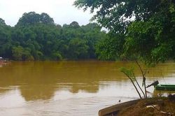 Đắm m&igrave;nh trong 'mảng xanh' của Vườn quốc gia C&aacute;t Ti&ecirc;n
