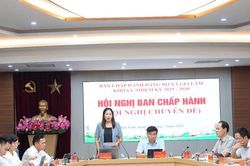Ban Chấp h&agrave;nh Đảng bộ x&atilde; Gia L&acirc;m quyết nghị nhiều nội dung quan trọng