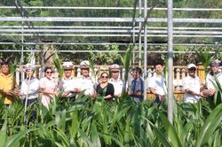 Th&ecirc;m 8.000 c&acirc;y dừa cho chương tr&igrave;nh 'Xanh h&oacute;a Trường Sa'