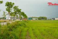 Đấu giá đất nông thôn ở Hà Tĩnh: Vì sao giá khởi điểm lên tới hơn 5,3 tỷ đồng?
