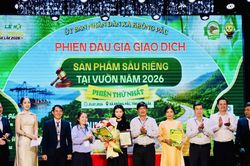Lần đầu đấu gi&aacute; sầu ri&ecirc;ng tại vườn ở Đắk Lắk: Chốt l&ocirc; h&agrave;ng gần 24 tỷ đồng