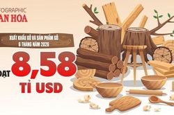 Xuất khẩu gỗ Việt Nam thu về 8,58 tỉ USD sau 6 tháng