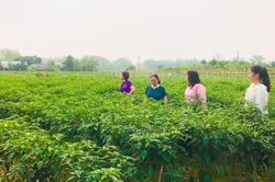Bài 3: Thước đo là sự hài lòng, niềm tin, hạnh phúc của Nhân dân