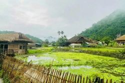 Tuyên Quang: Gìn giữ bản sắc, tạo sinh kế, lan tỏa giá trị văn hóa cộng đồng