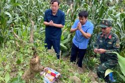Lai Châu: Kết nối thành công thân nhân liệt sĩ từ bia mộ tại Pa Tần