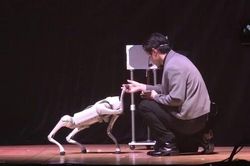 Tr&iacute; tuệ nh&acirc;n tạo (AI) đ&atilde; l&ecirc;n s&acirc;n khấu