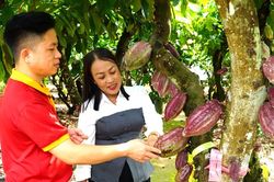 TP Đồng Nai: Mở rộng vùng trồng cacao, hướng tới ngành nông nghiệp chủ lực