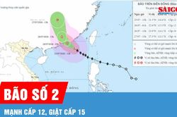 Bão số 2 mạnh lên cấp 12, giật cấp 15 trên Biển Đông
