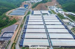 Một xã 'gánh' bảy trại lợn với quy mô hơn 100.000 con, chính quyền lo thành điểm nóng môi trường
