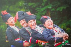 Viện trưởng hiến kế tổ chức Ngày Văn hóa Việt Nam hấp dẫn, đa dạng