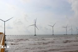 Vĩnh Long: Cực tăng trưởng kinh tế biển từ Khu kinh tế Định An