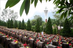 Hành trình trở về của những người lính Mặt trận Vị Xuyên