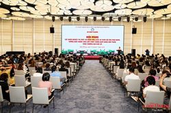 Hải Phòng: Tháo gỡ vướng mắc về xuất xứ hàng hóa, hỗ trợ doanh nghiệp xuất khẩu
