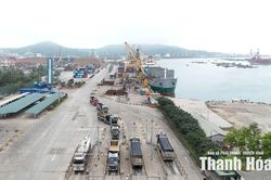 Định hình trụ cột logistics và dịch vụ cảng biển