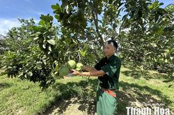 Tỏa sáng giữa đời thường