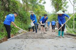 Tri thức trẻ trong "Mùa hè xanh”
