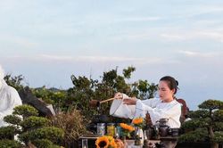 Đà Nẵng ra mắt tour thưởng trà trên bán đảo Sơn Trà