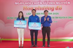 Đà Nẵng: Sôi nổi Ngày hội chiến sĩ tình nguyện 'Hoa phượng đỏ' năm 2026